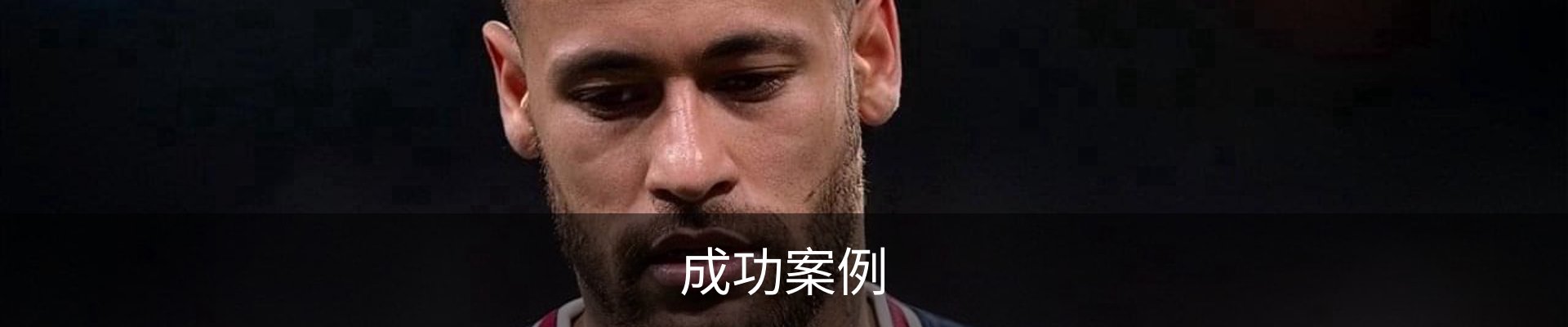 成功案例